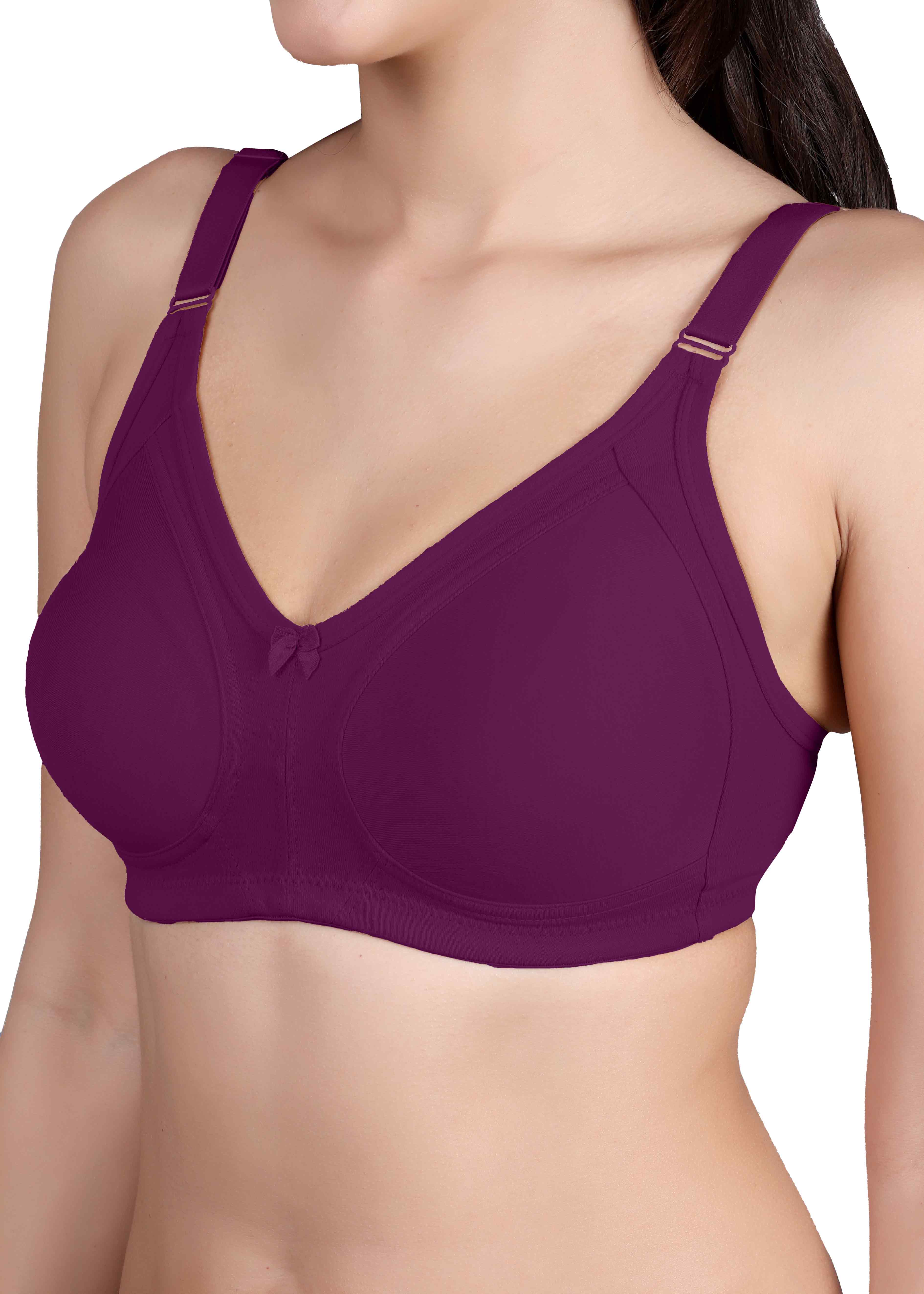 Tipsy T-1313 Bra In Wine