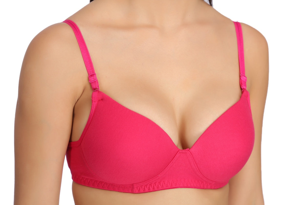 Tipsy T-07 Bra In Rani